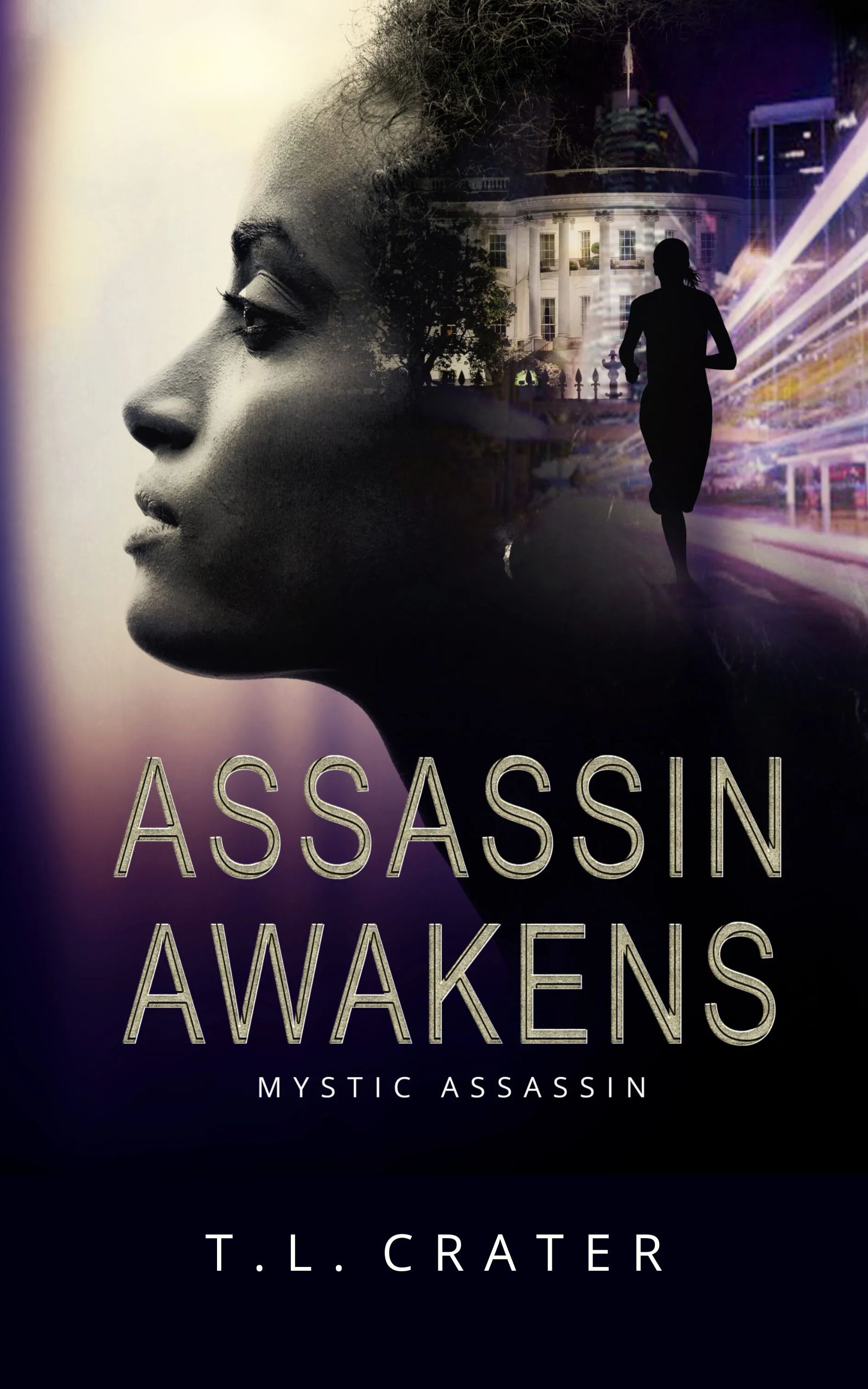 Novel, Mystic Assassin Series, Book 1, Political Thriller, NDE, assassin